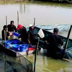 52065948_1378681632274049_1269134433349271552_n