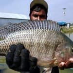 52076009_1378681592274053_1282451305868034048_n